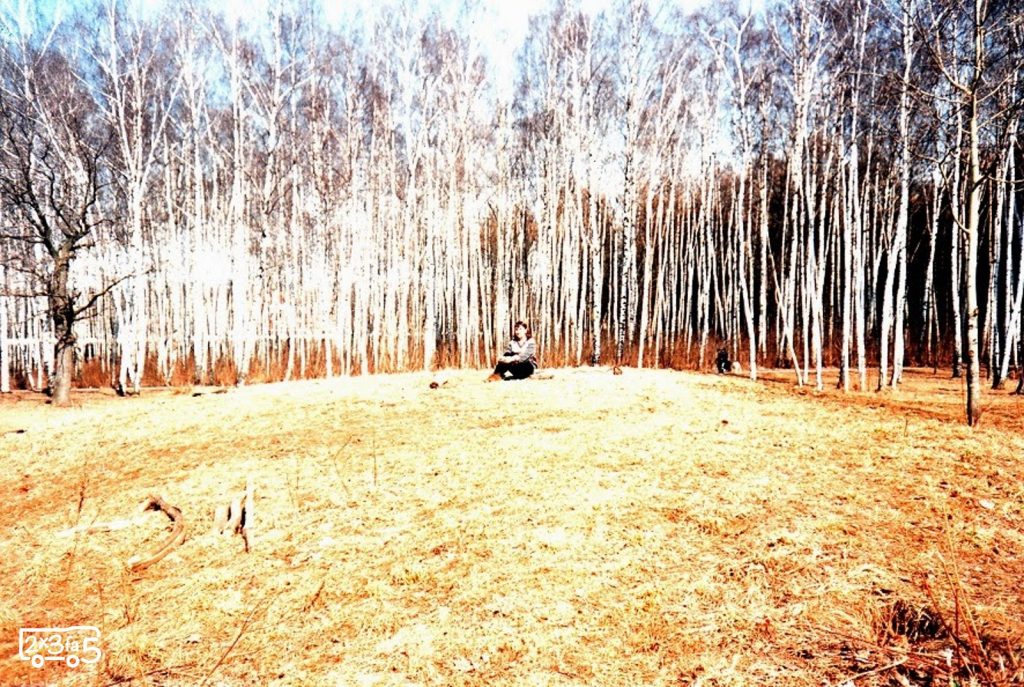 A MOCKBA, alla spensieratezza della gioventù e all'amore 2 Russia, bosco di betulle