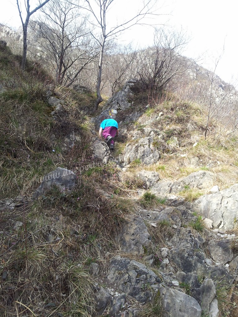 La Piana di San Tomaso: un'escursione tra massi erratici, cassotti e viste mozzafiato 5 blank