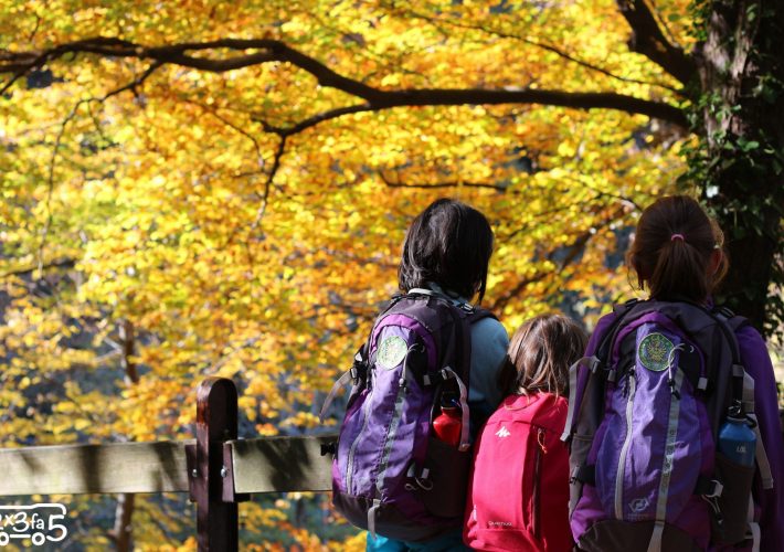Dove vedere l'autunno in Lombardia: 10 idee con bambini 3 blank
