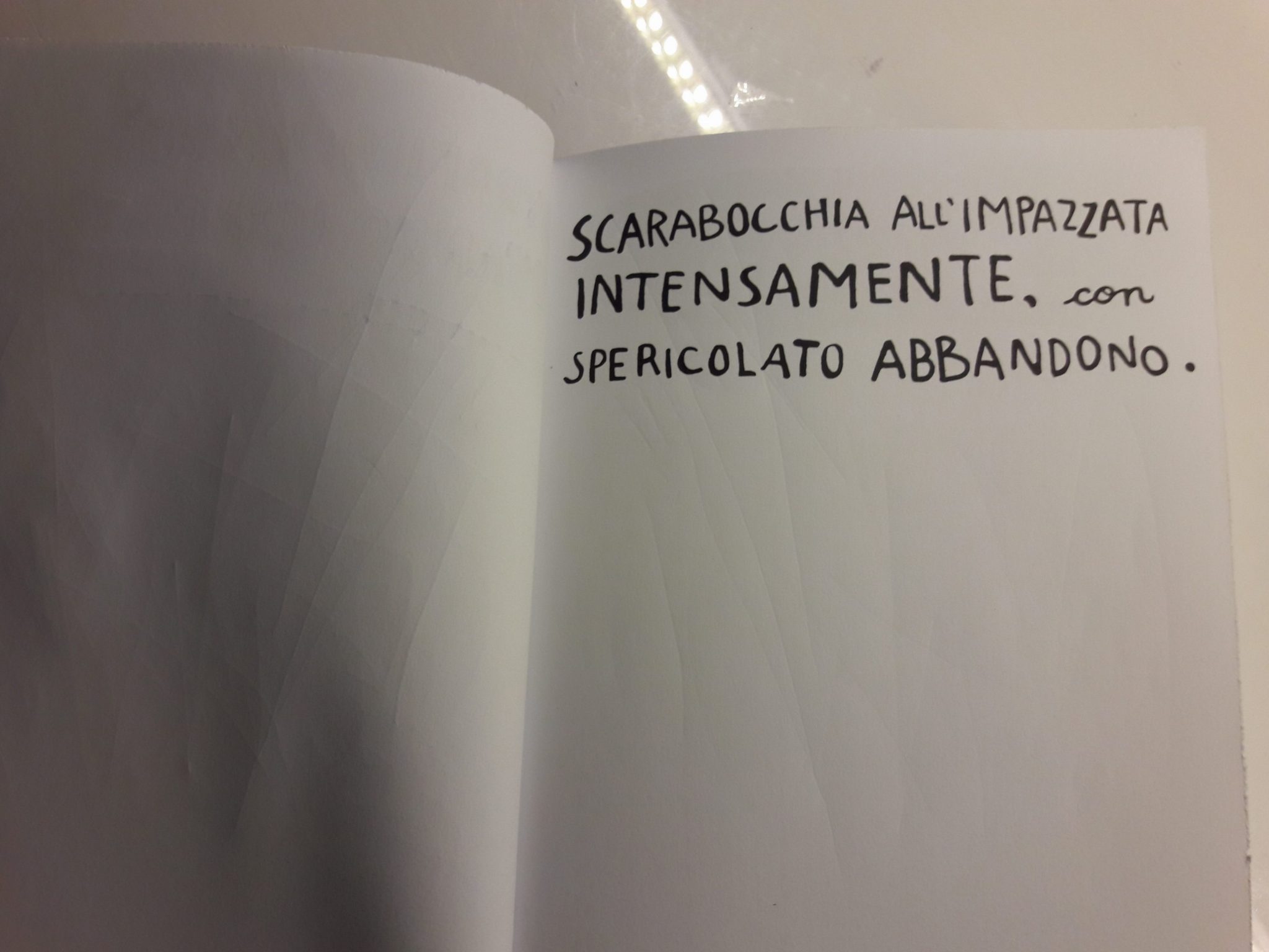 Distruggi questo diario: un libro che insegna che creare è distruggere 10 Distruggi questo diario