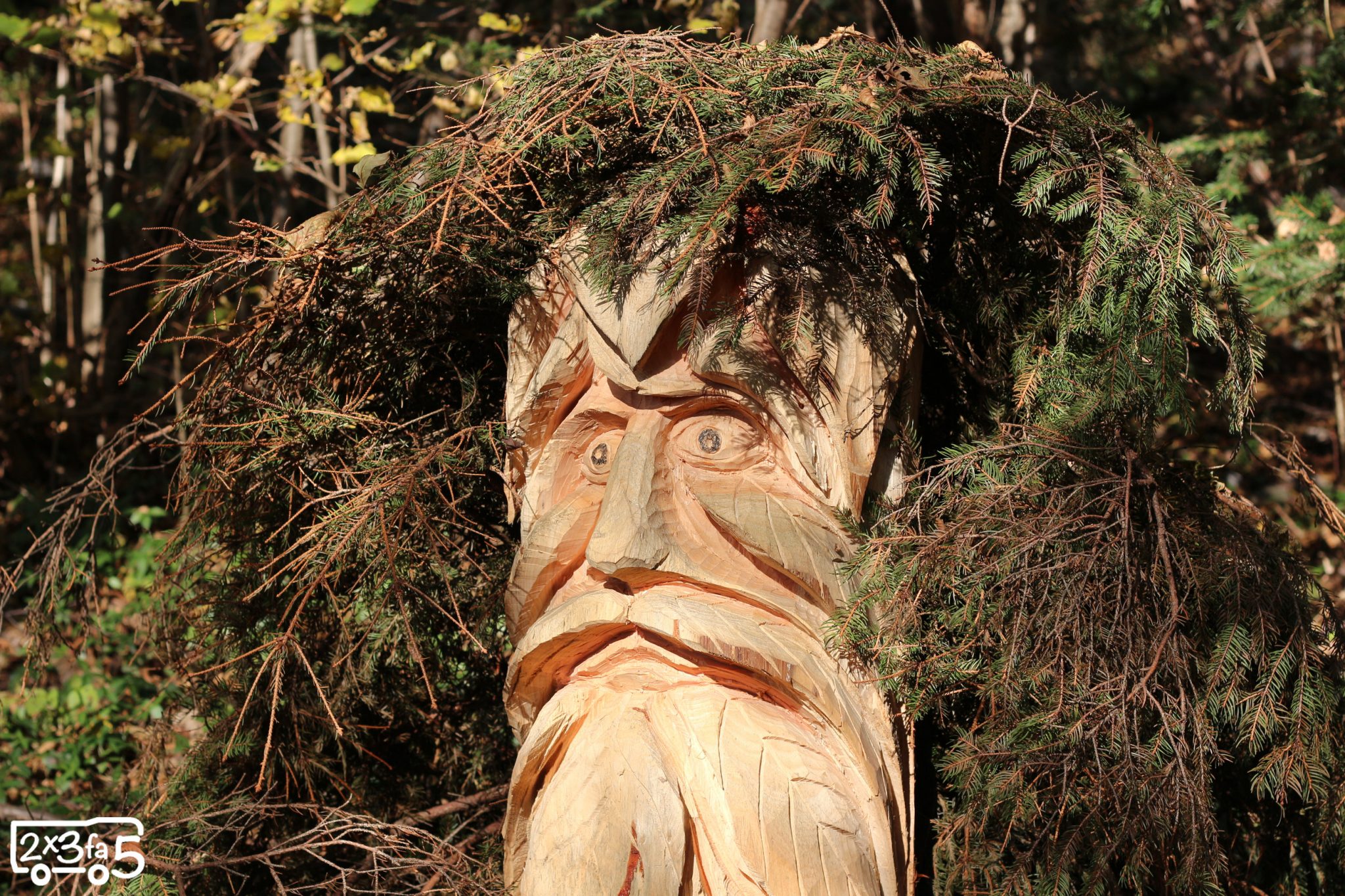 Sentiero Spirito del bosco Cosa fare in Lombardia con bambini
