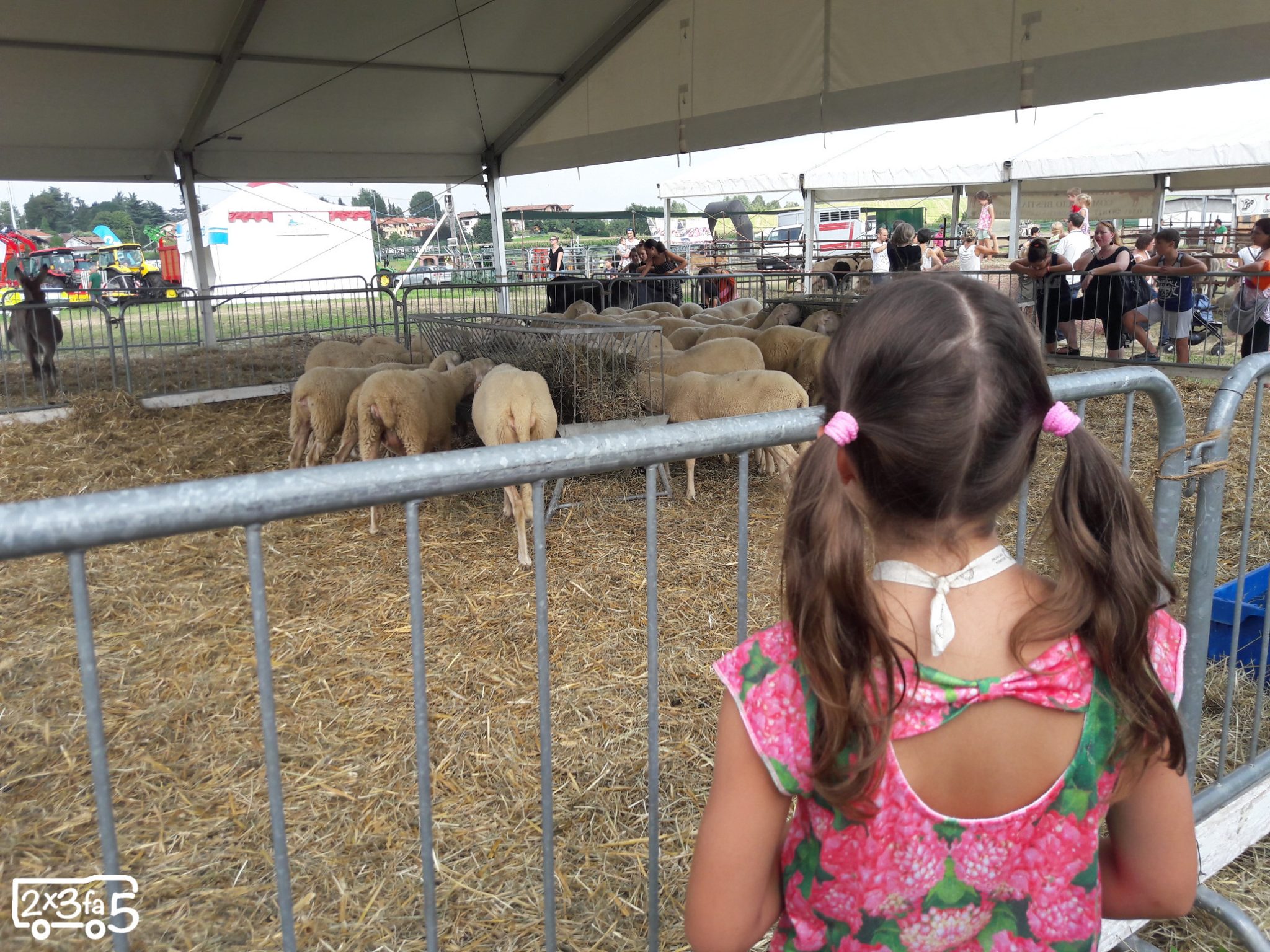 Fiera di San Gaetano a Rogoredo: Brianza e tradizioni in scena per i bambini 2 Fiera di San Gaetano