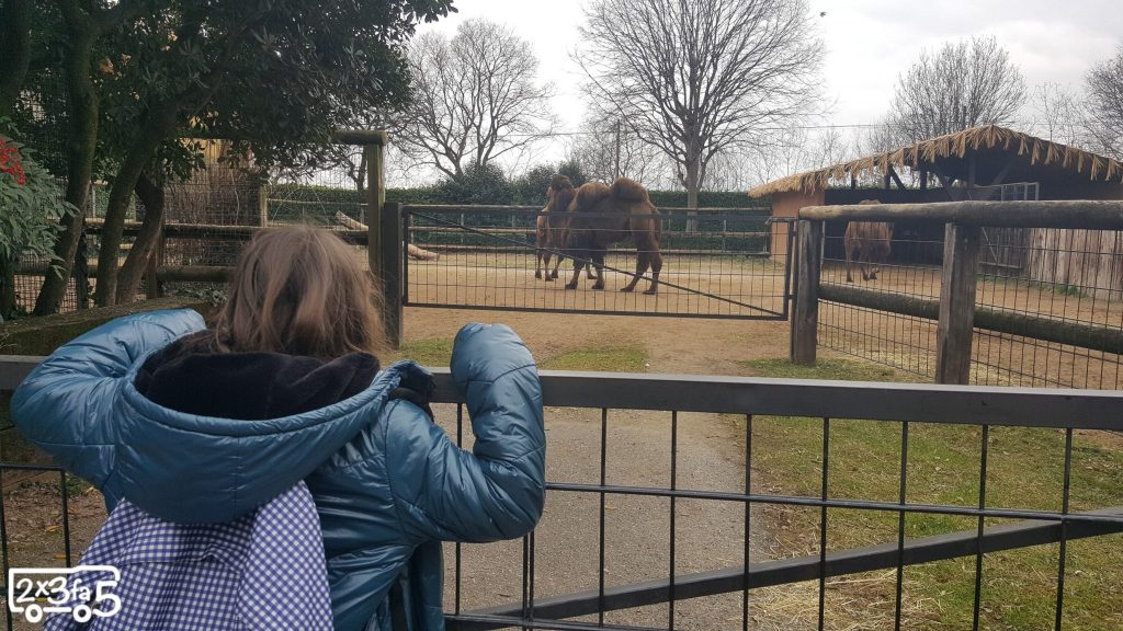 Cosa fare in Lombardia con i bambini. Le Cornelle