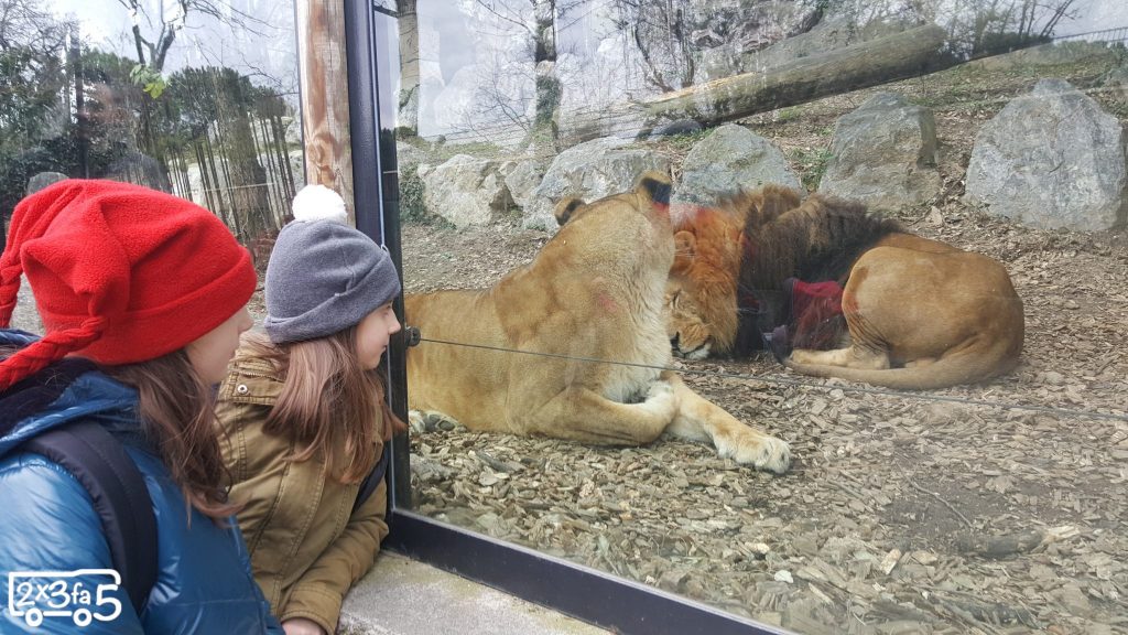 Cosa fare in Lombardia con i bambini. Le Cornelle