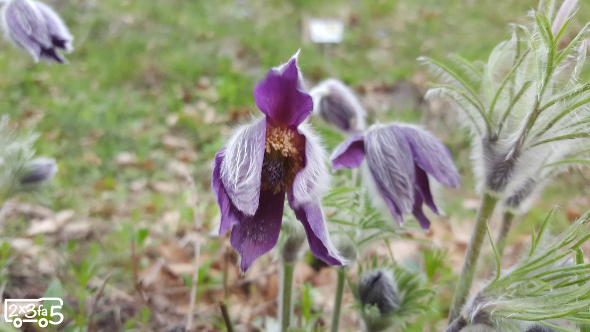 Rifugi facili per bambini in Lombardia