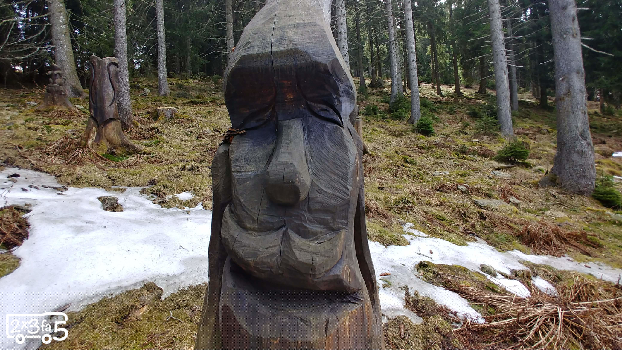 Il Sentiero del Bosco Incantato in Val di Scalve
