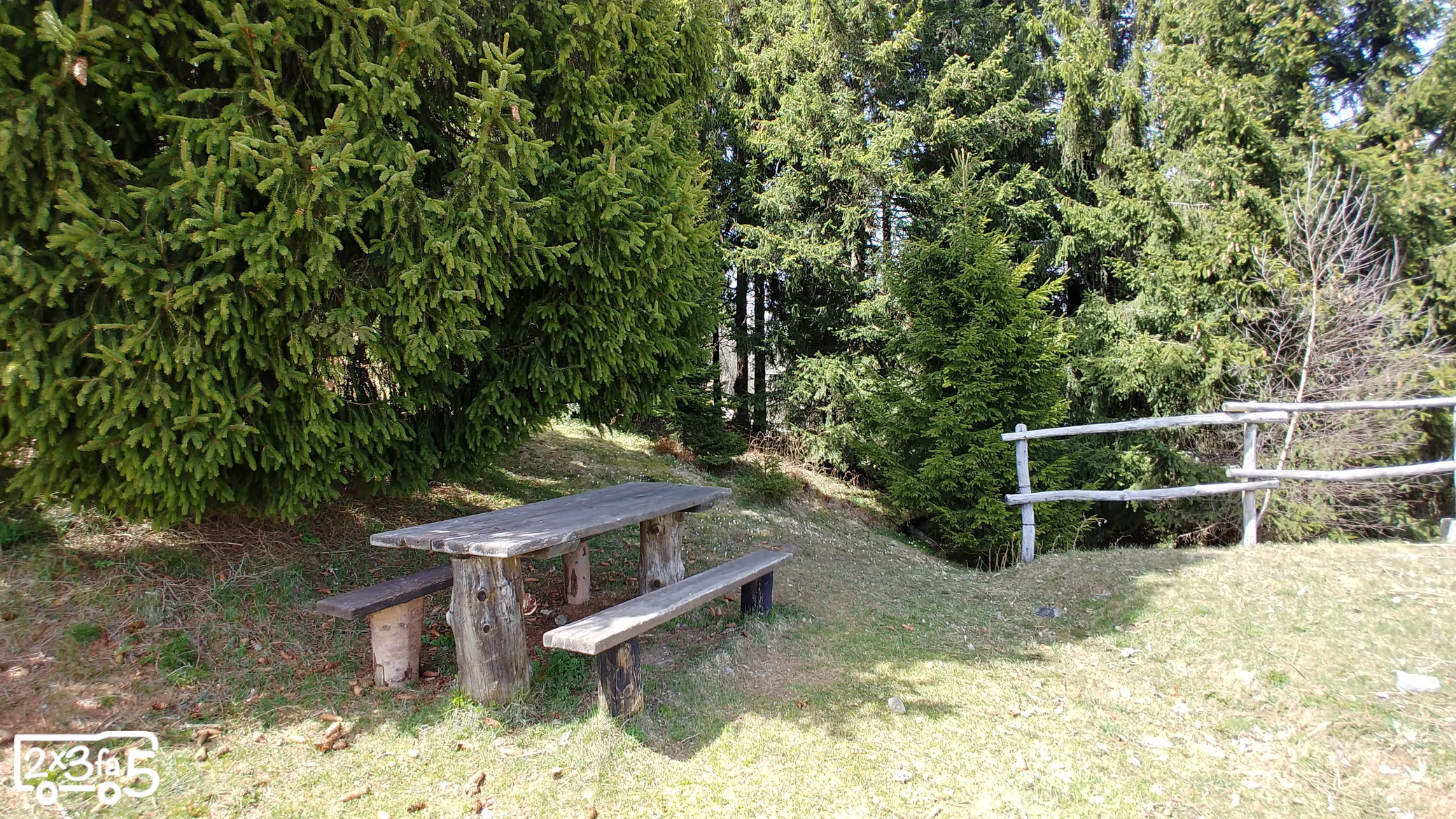 Il Sentiero del Bosco Incantato in Val di Scalve