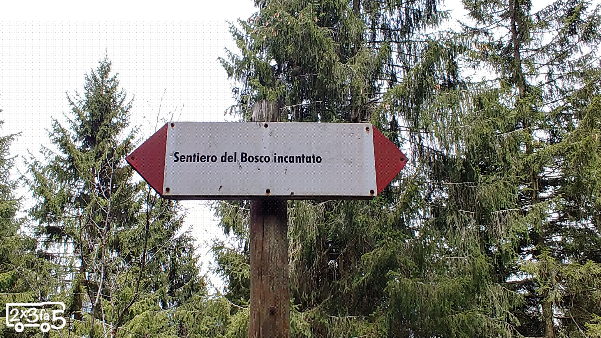 Il Sentiero del Bosco Incantato in Val di Scalve