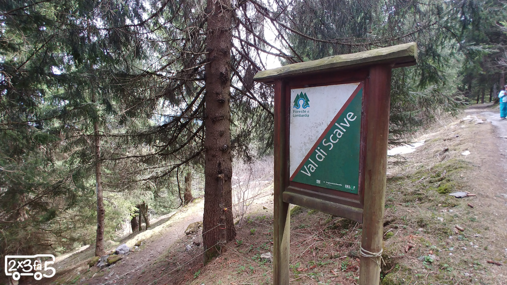 Il Sentiero del Bosco Incantato in Val di Scalve
