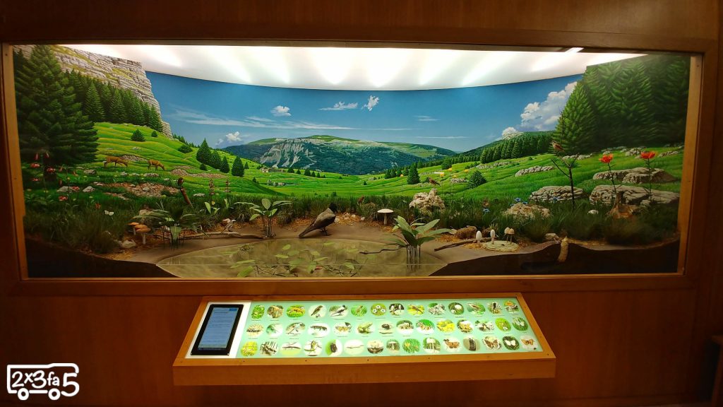 Diorama Museo Naturalistico didattico Asiago Altopiano di Asiago coi bambini