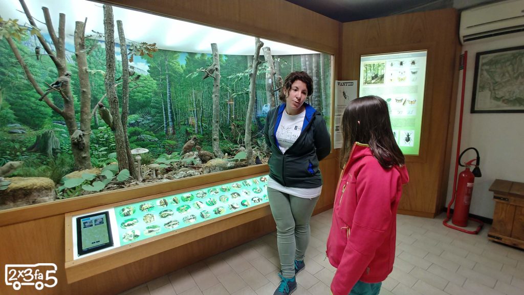 Visita Guidata Museo Naturalistico Didattico Asiago Altopiano di Asiago coi bambini