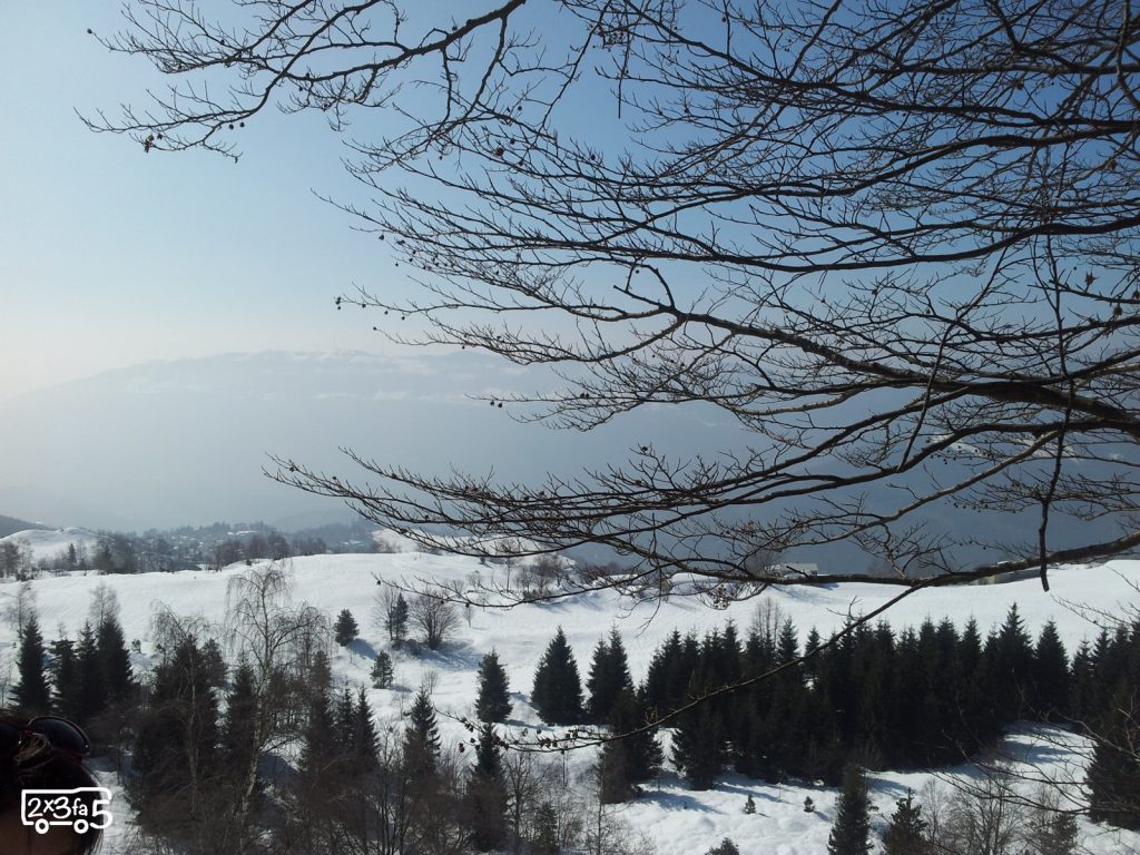 A caccia di neve 5 A caccia di neve