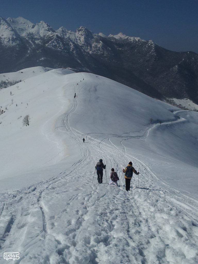 A caccia di neve 11 A caccia di neve