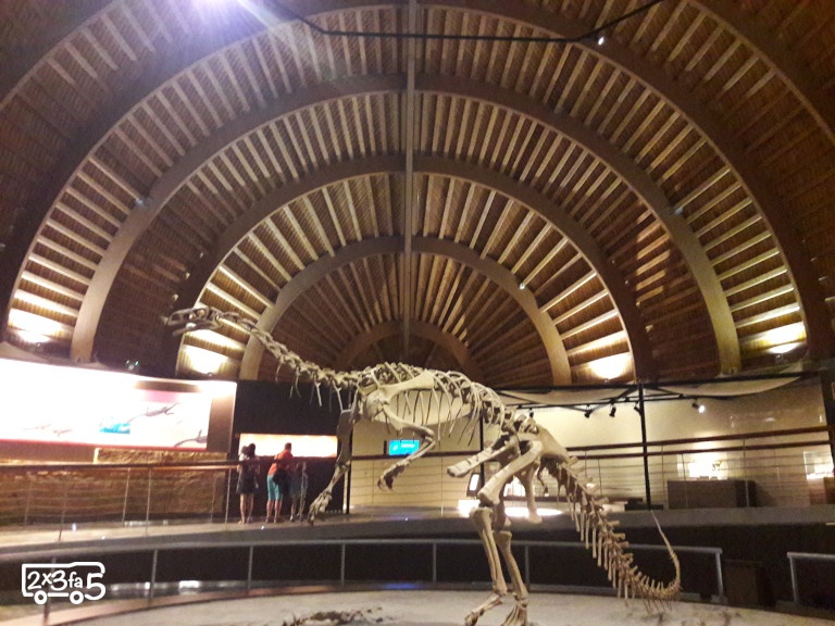 Costa dei dinosauri in camper