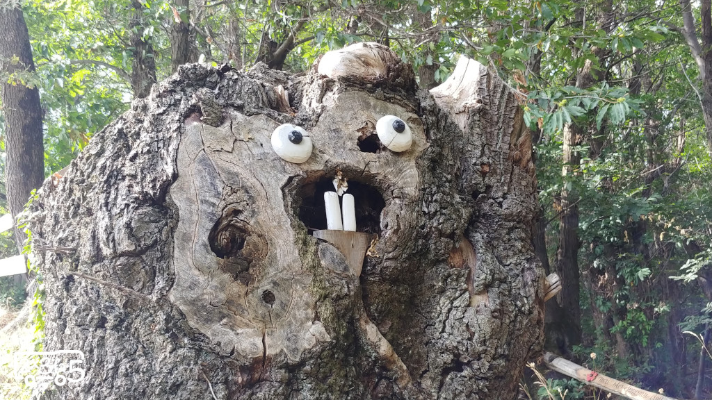 Sculture Crus de l'omm escursione bambini Crus de l'omm Cernobbio