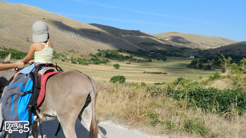Trekking con gli asini per famiglie in Abruzzo Trekking con gli asini per famiglie in Abruzzo