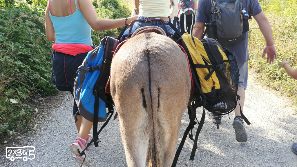 Trekking con gli asini per famiglie in Abruzzo Trekking con gli asini per famiglie in Abruzzo