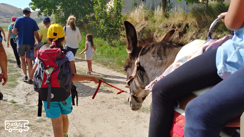 trekking con gli asini Abruzzo Trekking con gli asini per famiglie in Abruzzo
