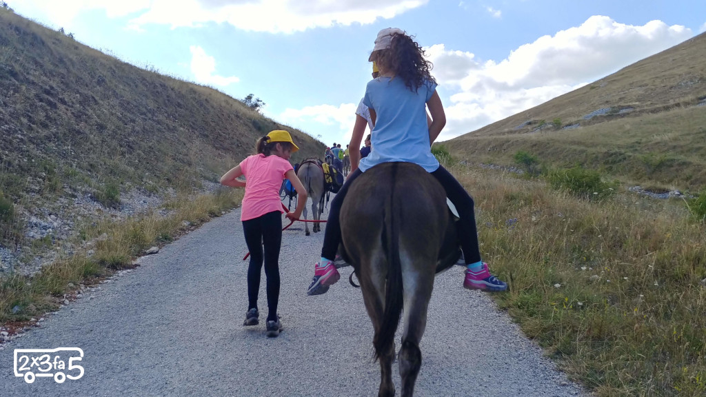 Trekking con gli asini per famiglie in Abruzzo Trekking con gli asini per famiglie in Abruzzo