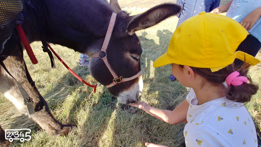 Trekking con gli asini per famiglie in Abruzzo Trekking con gli asini per famiglie in Abruzzo