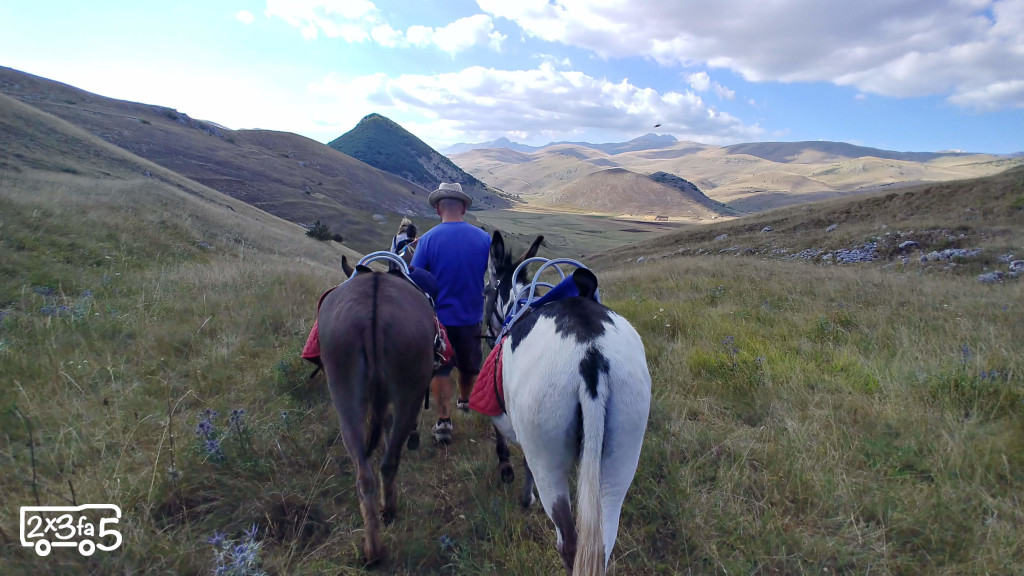 Trekking con gli asini per famiglie in Abruzzo Trekking con gli asini per famiglie in Abruzzo
