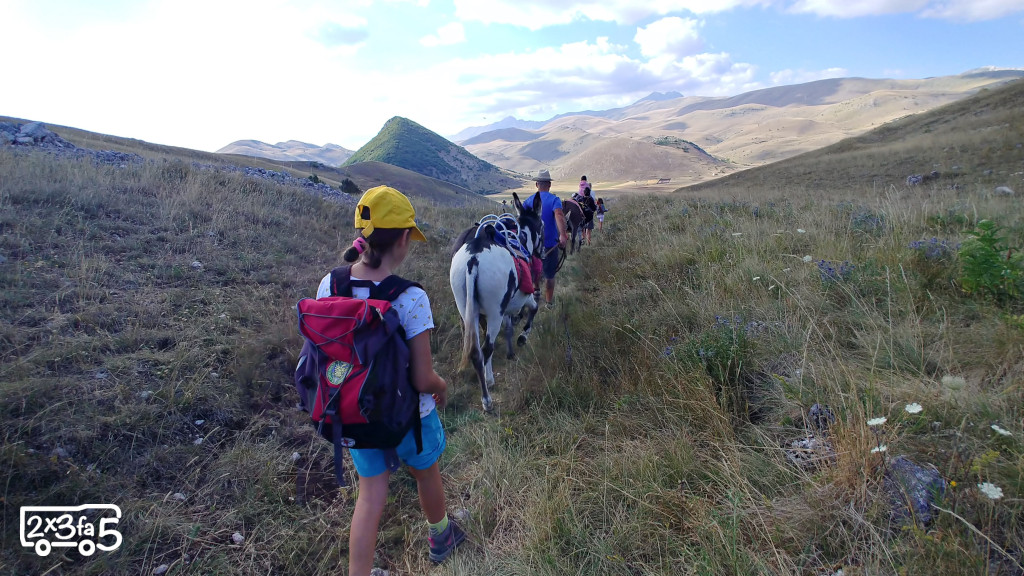 Trekking con gli asini per famiglie in Abruzzo Trekking con gli asini per famiglie in Abruzzo