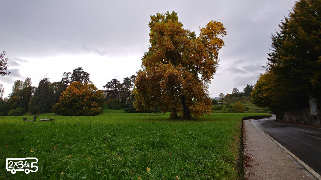 Foliage in Lombardia nelle Ville di Brianza Dove raccogliere le castagne vicino a Milano