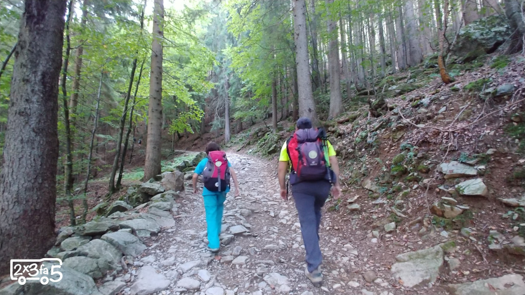 Senteiro rifugio Curò Rifugio Curò con bambini