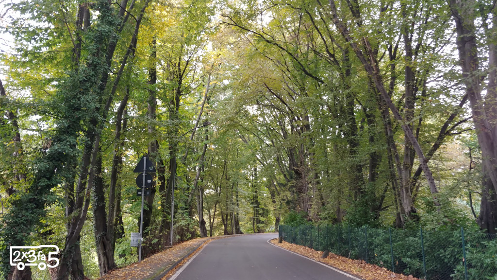Viale Sommi Picenardi a Olgiate Molgora Dove raccogliere le castagne vicino a Milano
