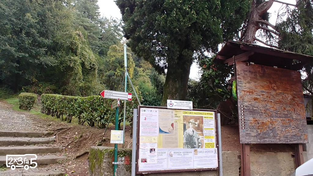 Sentieri Squadra Dove raccogliere le castagne vicino a Milano
