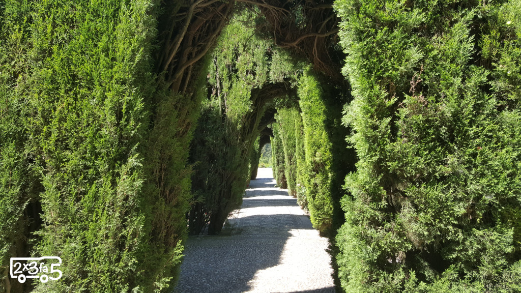 I giardini dell'Alhambra