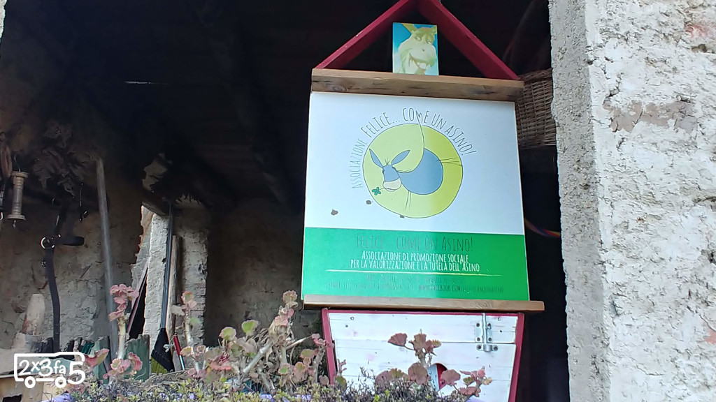 Asineria Trekking con gli asinelli nel Parco di Montevecchia