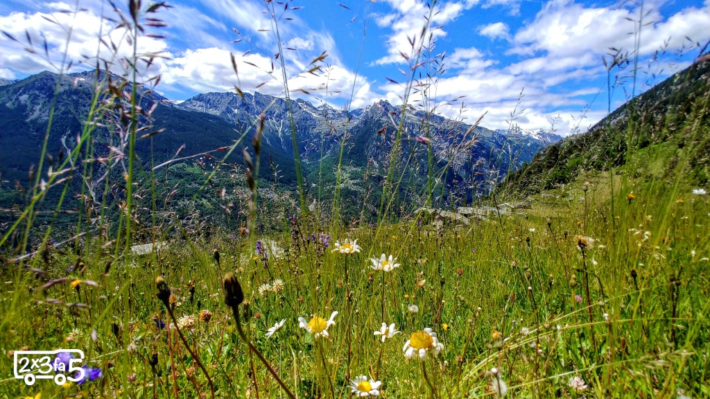 Alpe Dalò in Valchiavenna
