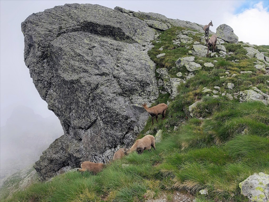 Rifugio Benigni con bambini