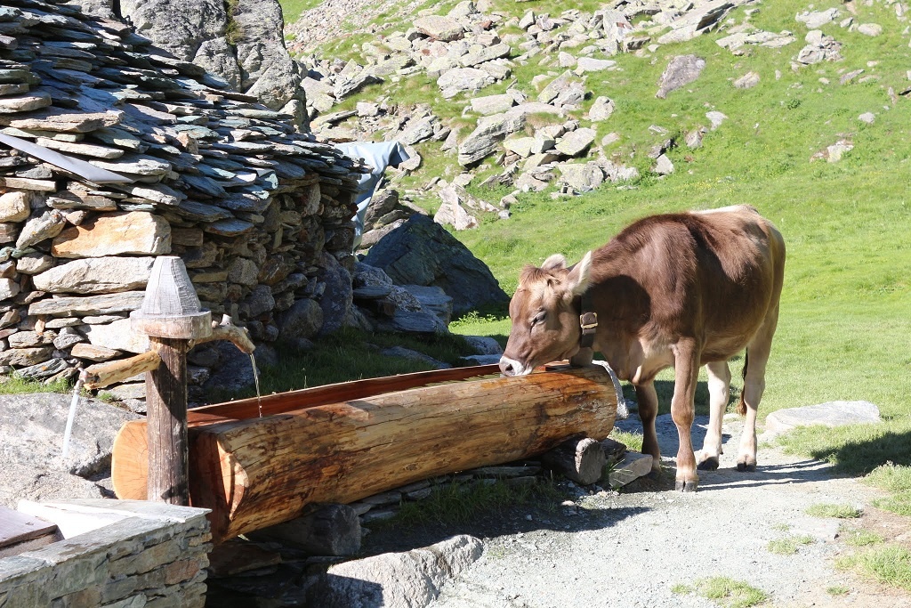 Alpe Gembrè Ghiacciaio Fellaria con bambini