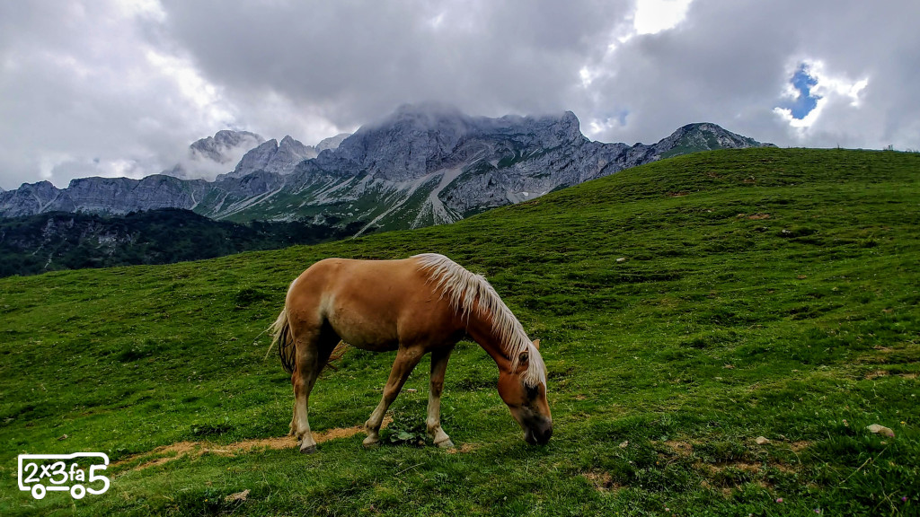 Trekking ad un lago alpino lago branchino cavallo Trekking ad un lago alpino