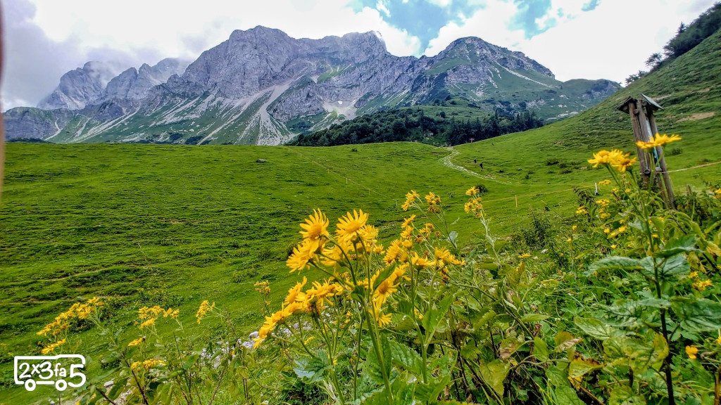 Trekking ad un lago alpino sentiero Lago Branchino con fiori Trekking ad un lago alpino