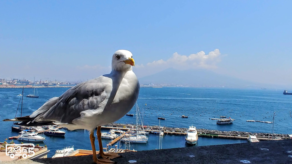Castel dell'Ovo Cosa fare a Napoli con i bambini