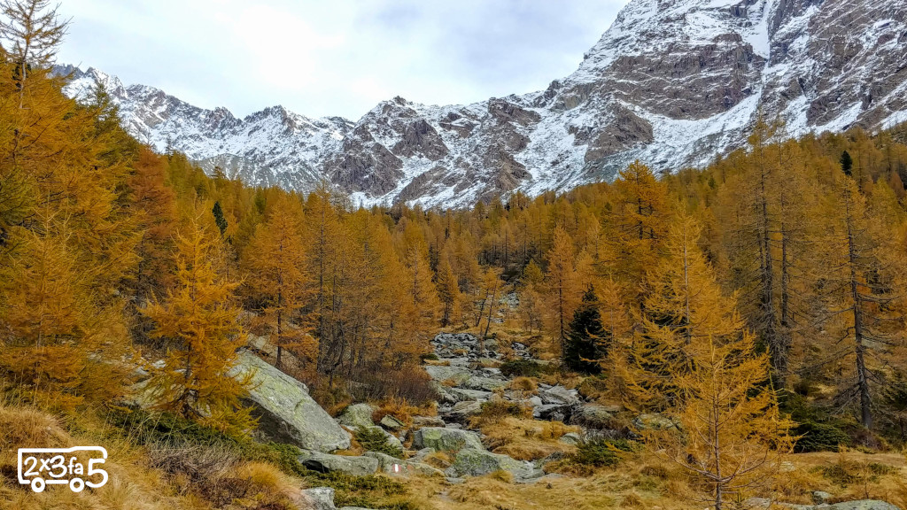 Preda Rossa in autunno Preda Rossa in autunno
