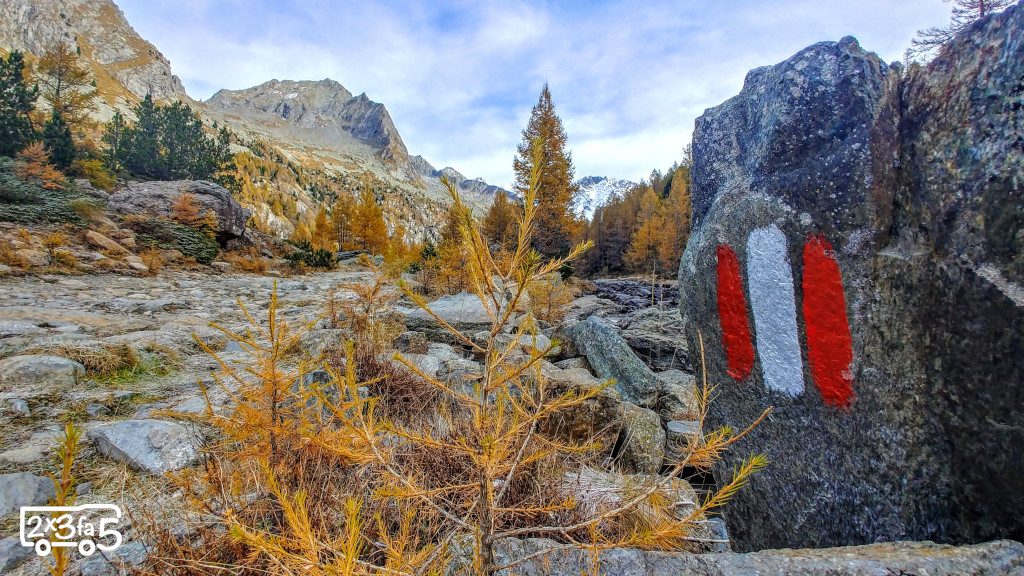 Preda Rossa in autunno Preda Rossa in autunno
