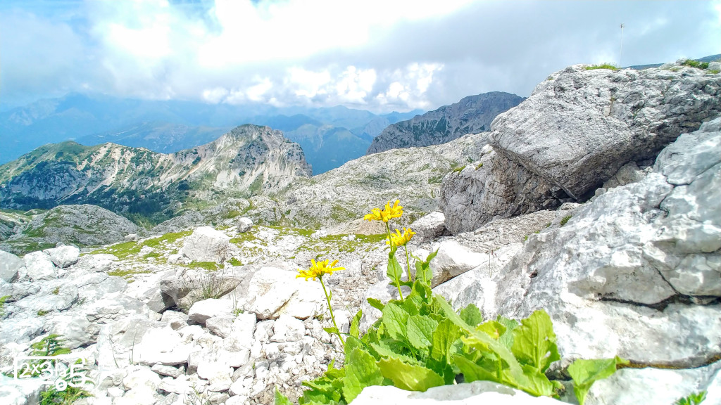 Trekking al Rifugio Brioschi