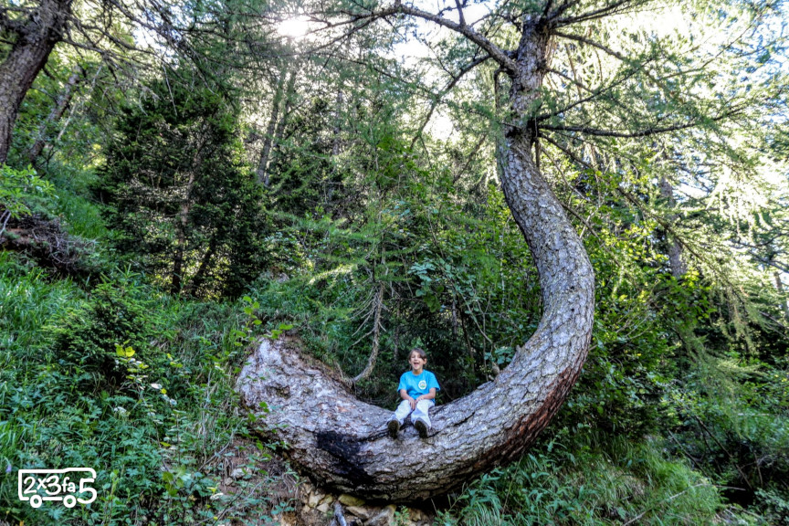 Rifugio Gerli Porro in Valmalenco sentiero bambini Rifugio Gerli Porro in Valmalenco