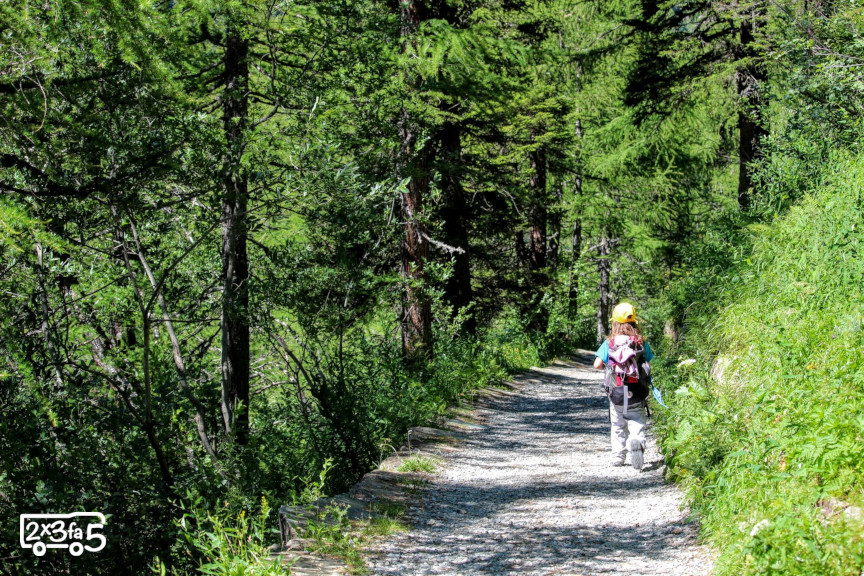 Sentiero Rifugio Gerli Porro con bambini Rifugio Gerli Porro in Valmalenco