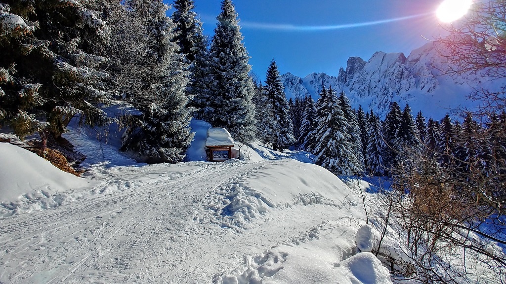 Rifugio Cimon della Bagozza in inverno Rifugio Cimon della Bagozza in inverno