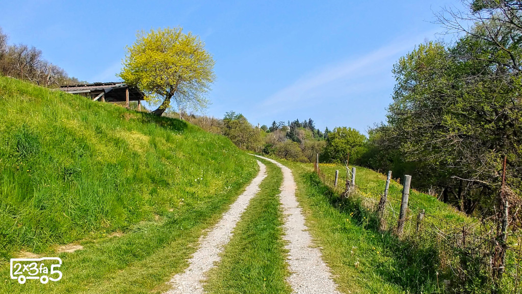 Trekking Olgiate Airuno