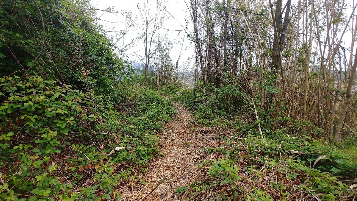 Trekking Olgiate Airuno