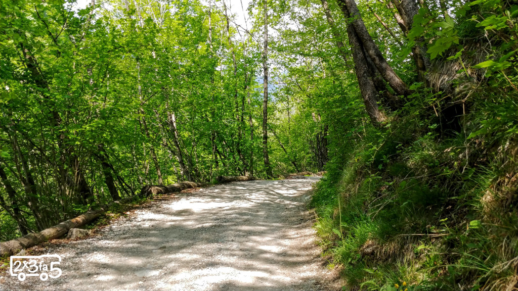 Bosco Incantato La Terra delle Meraviglie e il Villaggio lungo il Fiume