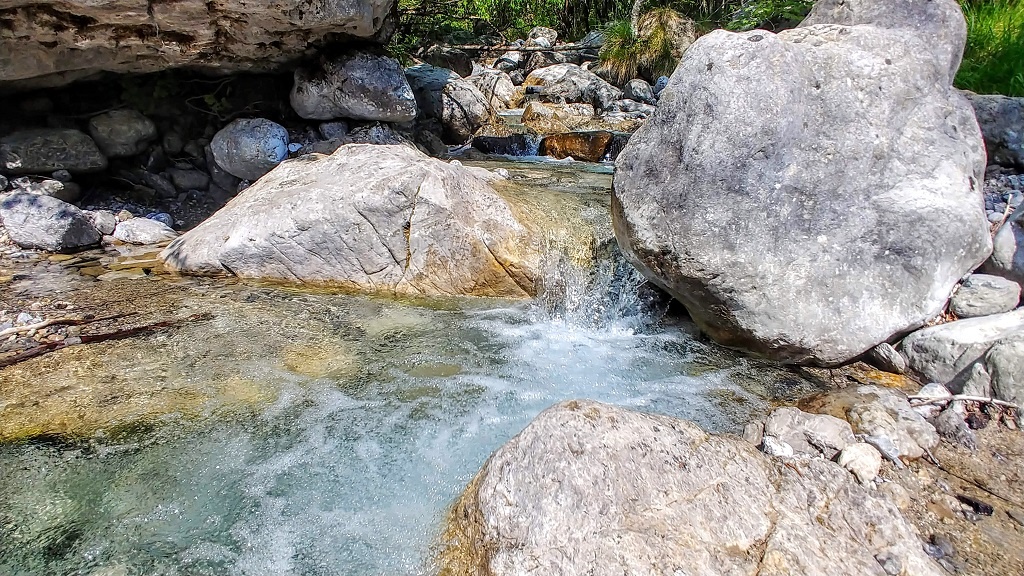 Bosco Incantato La Terra delle Meraviglie e il Villaggio lungo il Fiume