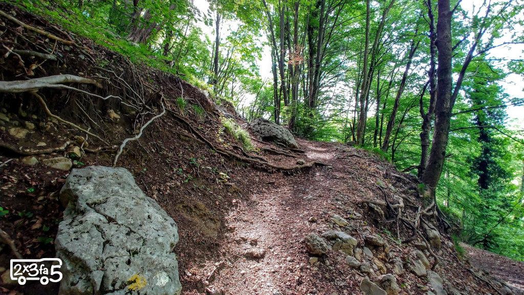 Rifugio Pialeral con bambini