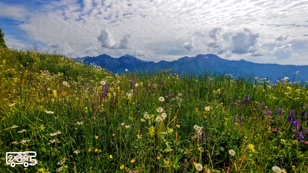 Rifugio Pialeral con bambini
